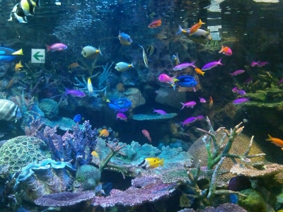 f0050287_044590.jpg