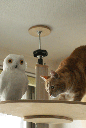 c0193788_10373860.gif