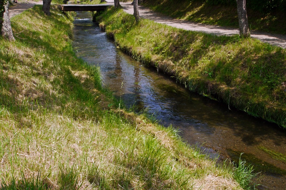 c0252688_12305663.jpg