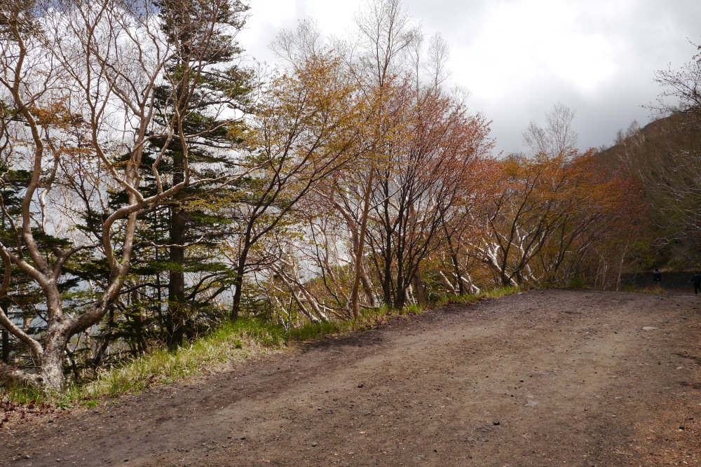 c0252688_13581422.jpg
