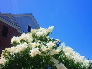 f0018790_2365771.jpg
