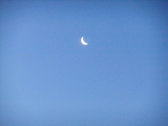 f0215591_8164418.jpg