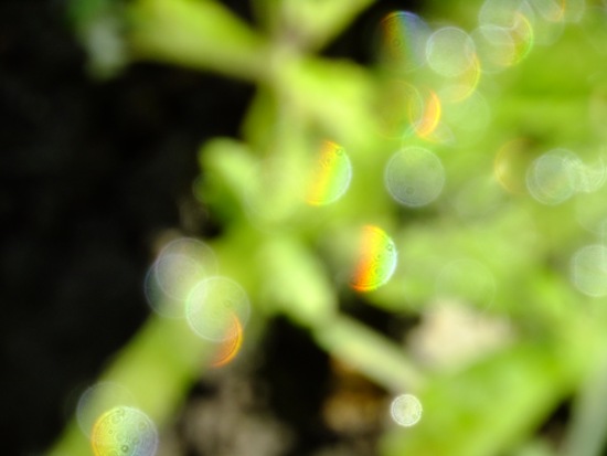 f0215591_8182350.jpg