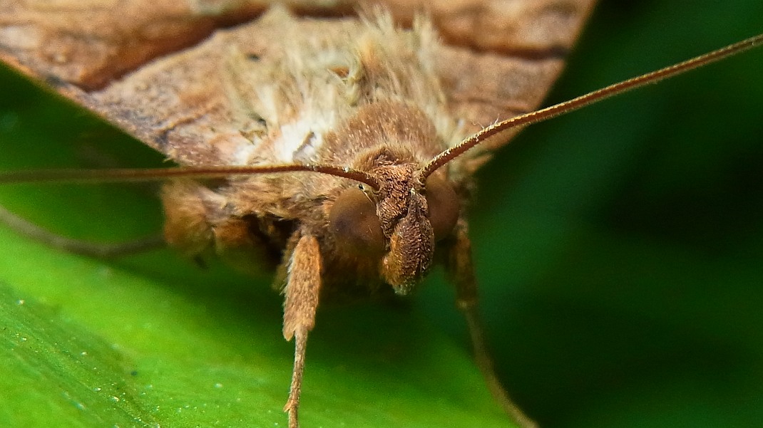 a0152692_1828454.jpg