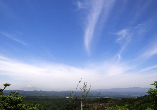 八甲田ロープウェー・傘松峠の水芭蕉など_a0136293_1616965.jpg