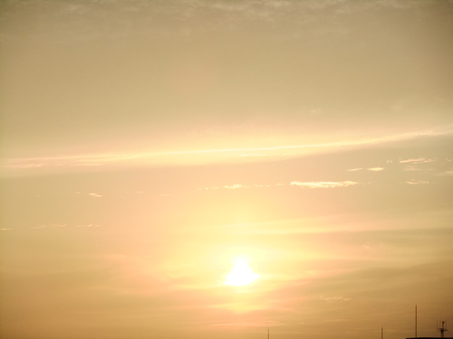 b0207496_8222735.jpg