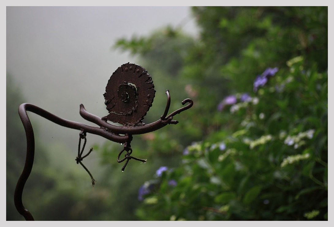 鹿児島 東雲の里 あじさい園 Magの写真創庫 鹿児島 東雲の里 あじさい園 Magの写真創庫