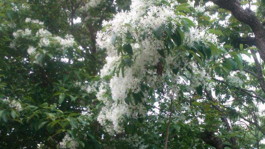 b0169403_14142087.jpg