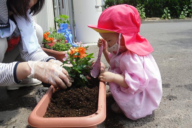 花植えをしました。_f0162105_13292376.jpg