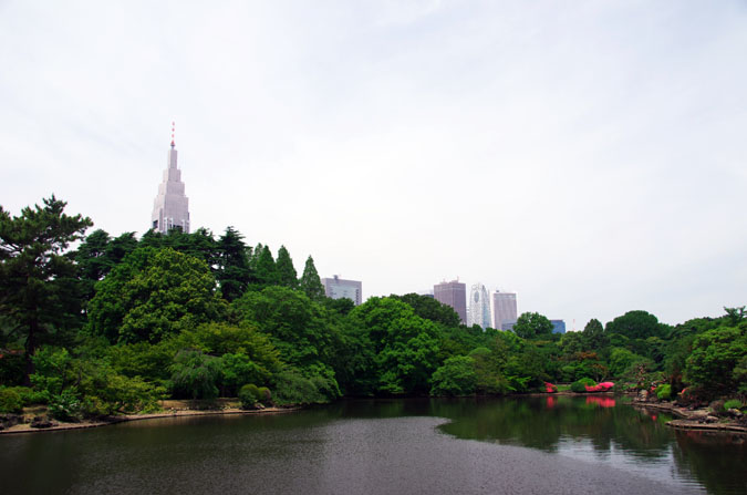 新宿御苑の夏の始まり1_a0263109_20125787.jpg