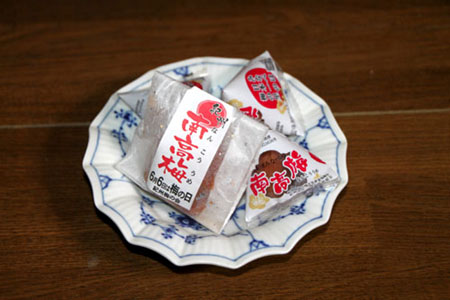 紀州梅道中 今日は梅の日_e0048413_16412761.jpg