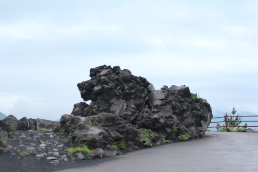 c0154819_21572441.jpg