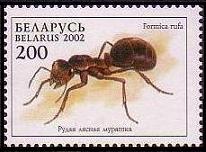 f0188324_8193999.jpg