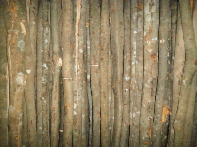 f0289033_20342955.jpg