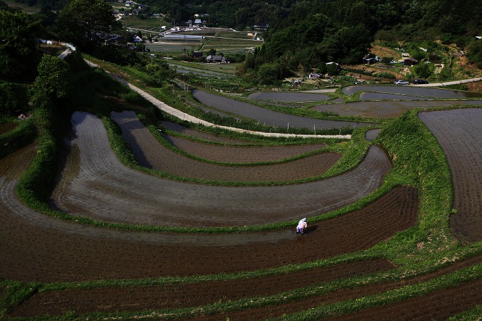 長谷の棚田 2_a0294534_17223537.jpg