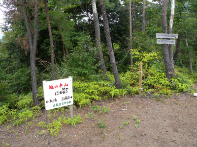 里山でカキラン観賞！_e0272335_186961.jpg