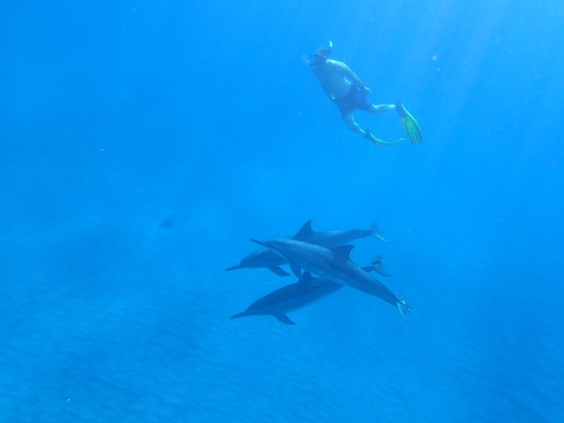 f0171644_22453982.jpg