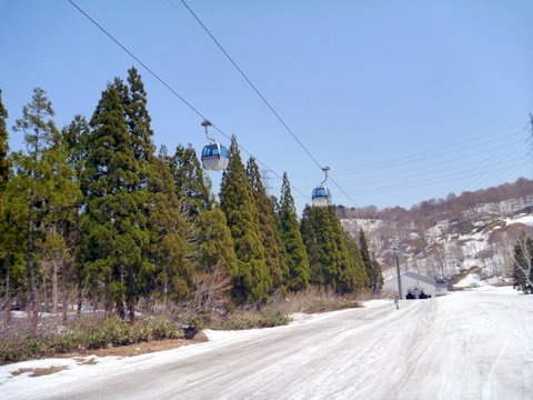 【滑走レポ 2013.5.9】 新潟・十日町の旬な山菜&蕎麦が食べたくて・・・(笑)@かぐら_e0037849_2014236.jpg