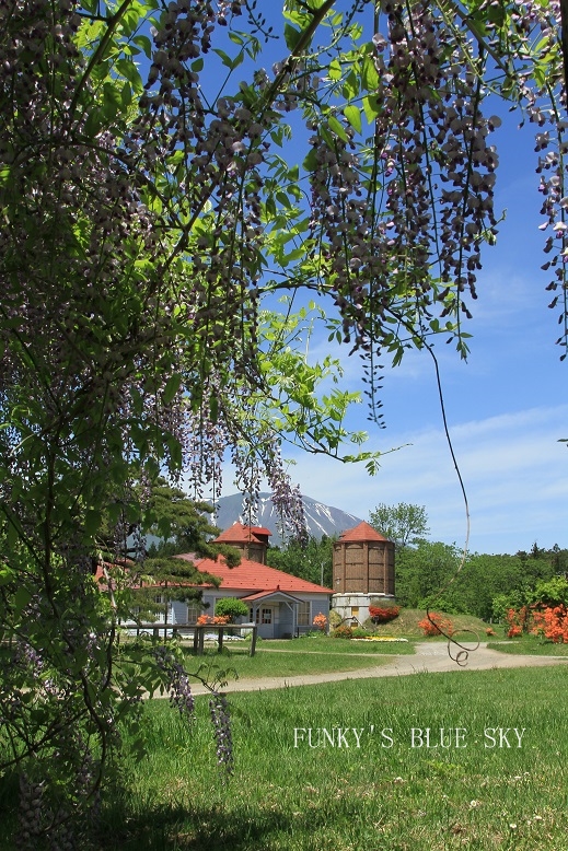 c0145250_1035171.jpg