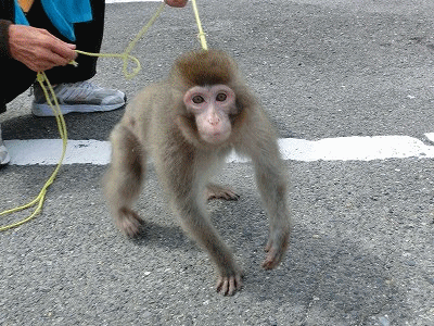 d0138650_17225755.gif
