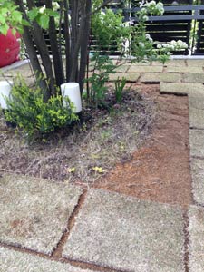 c0051759_084565.jpg