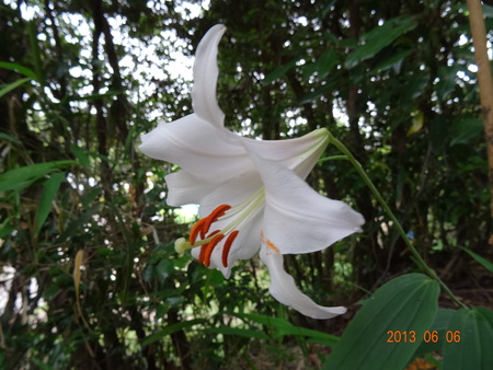 c0108460_2232798.jpg