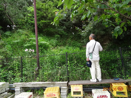 c0108460_23165361.jpg