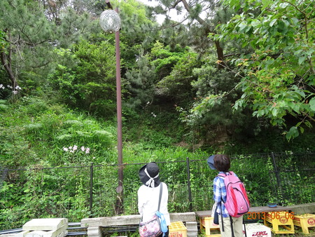 c0108460_23172247.jpg
