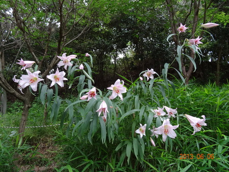 c0108460_238343.jpg