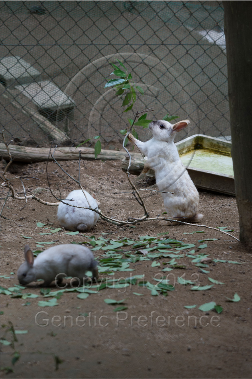 森林植物園2013～梅雨の季節 Vol.7_a0111162_2322433.jpg