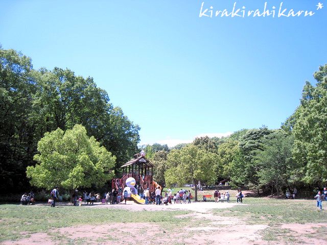 e0173670_8442958.jpg