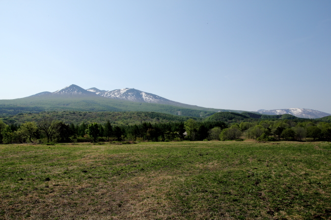 c0054876_1440515.jpg