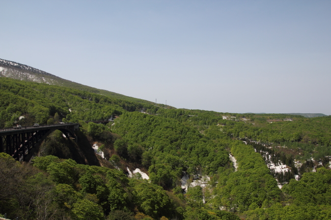 c0054876_14423161.jpg