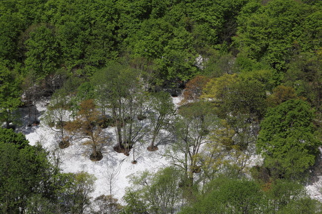 c0054876_14431614.jpg