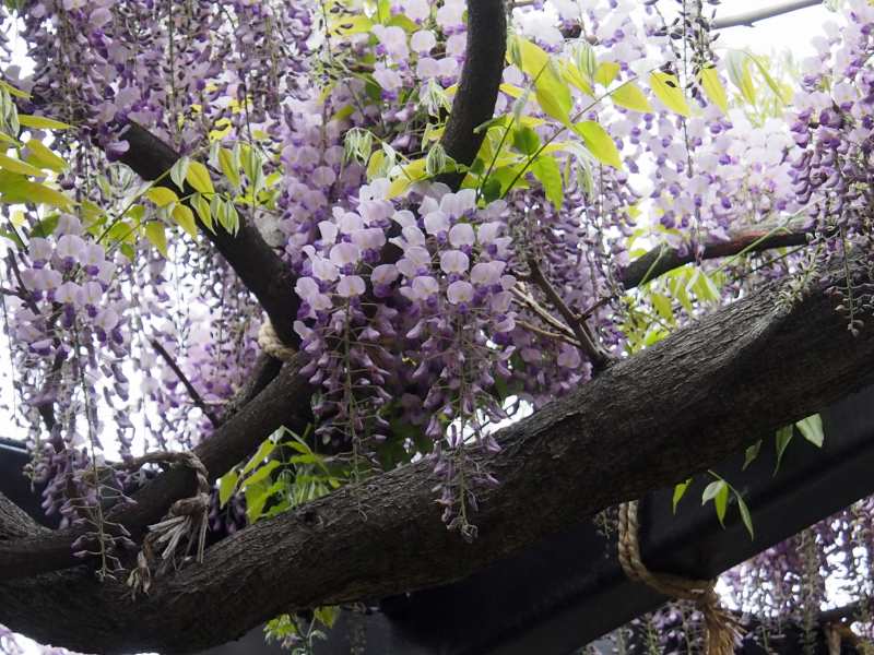 c0183777_13302813.jpg