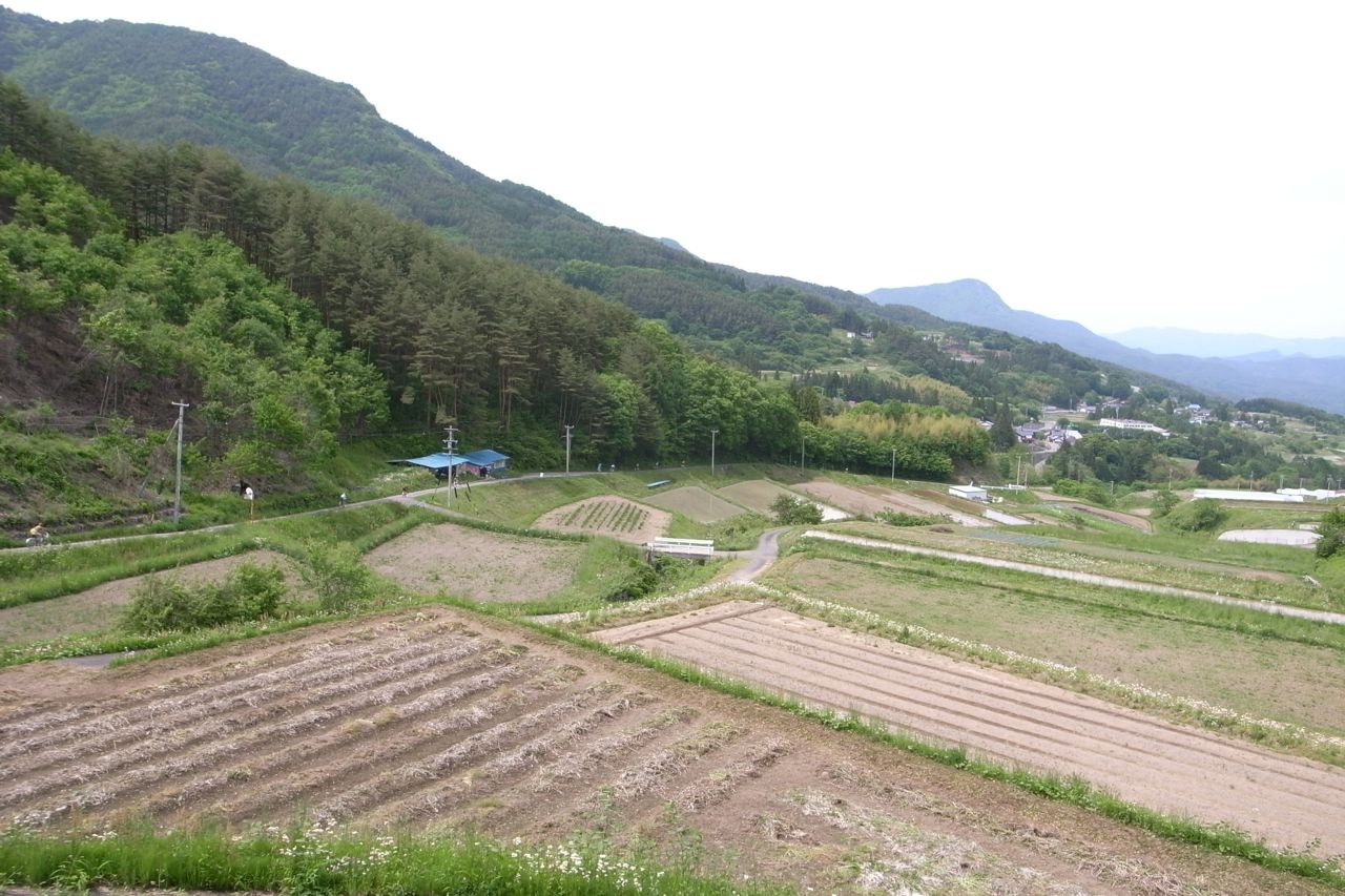 f0124378_21121865.jpg