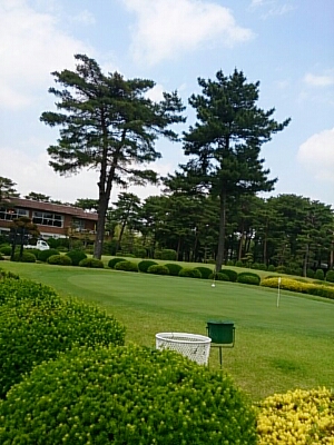 b0147481_17291917.jpg