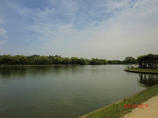 a0185783_11544521.jpg