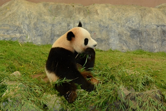 a0052986_0201024.jpg