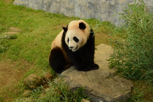a0052986_0223219.jpg