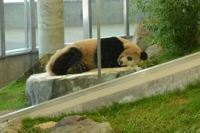 a0052986_023265.jpg