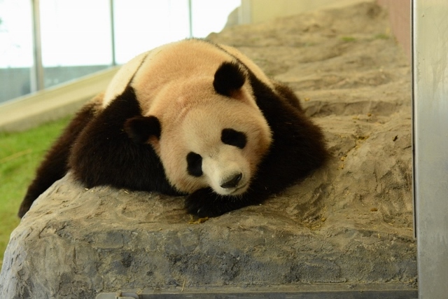 a0052986_0242930.jpg