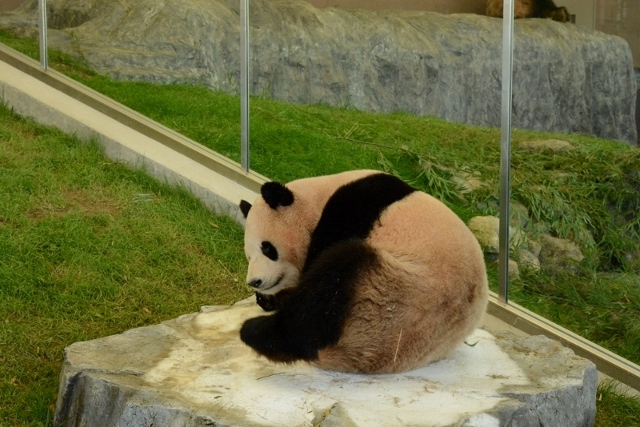 a0052986_0263236.jpg