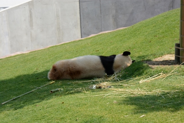 a0052986_0265668.jpg