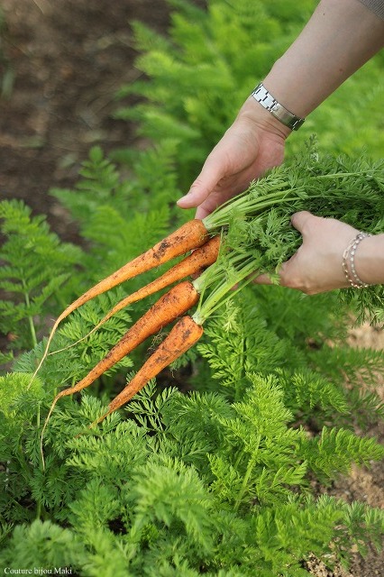 愛溢れる菜園へ…_e0043686_165752.jpg