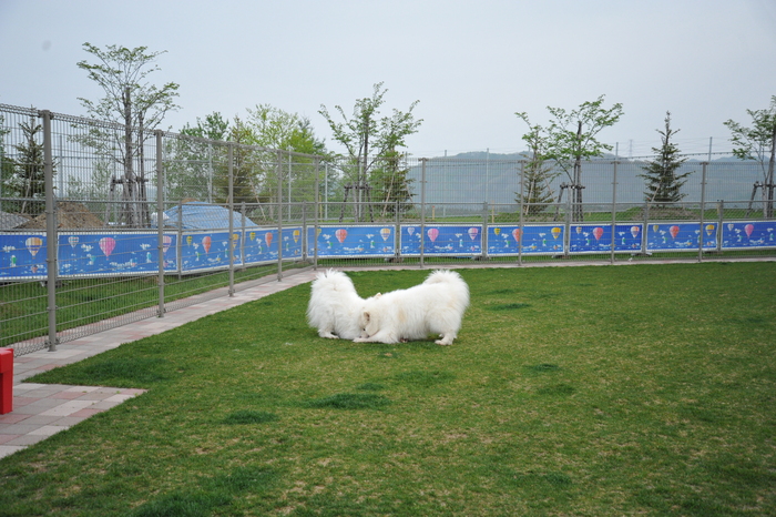 北海道旅行記　part2_a0049296_20293368.jpg