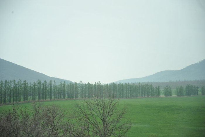 北海道旅行記　part2_a0049296_20411540.jpg