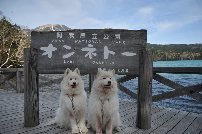 北海道旅行記　part2_a0049296_2110409.jpg