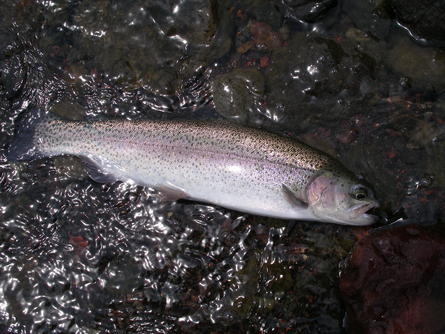 c0180802_20311427.jpg