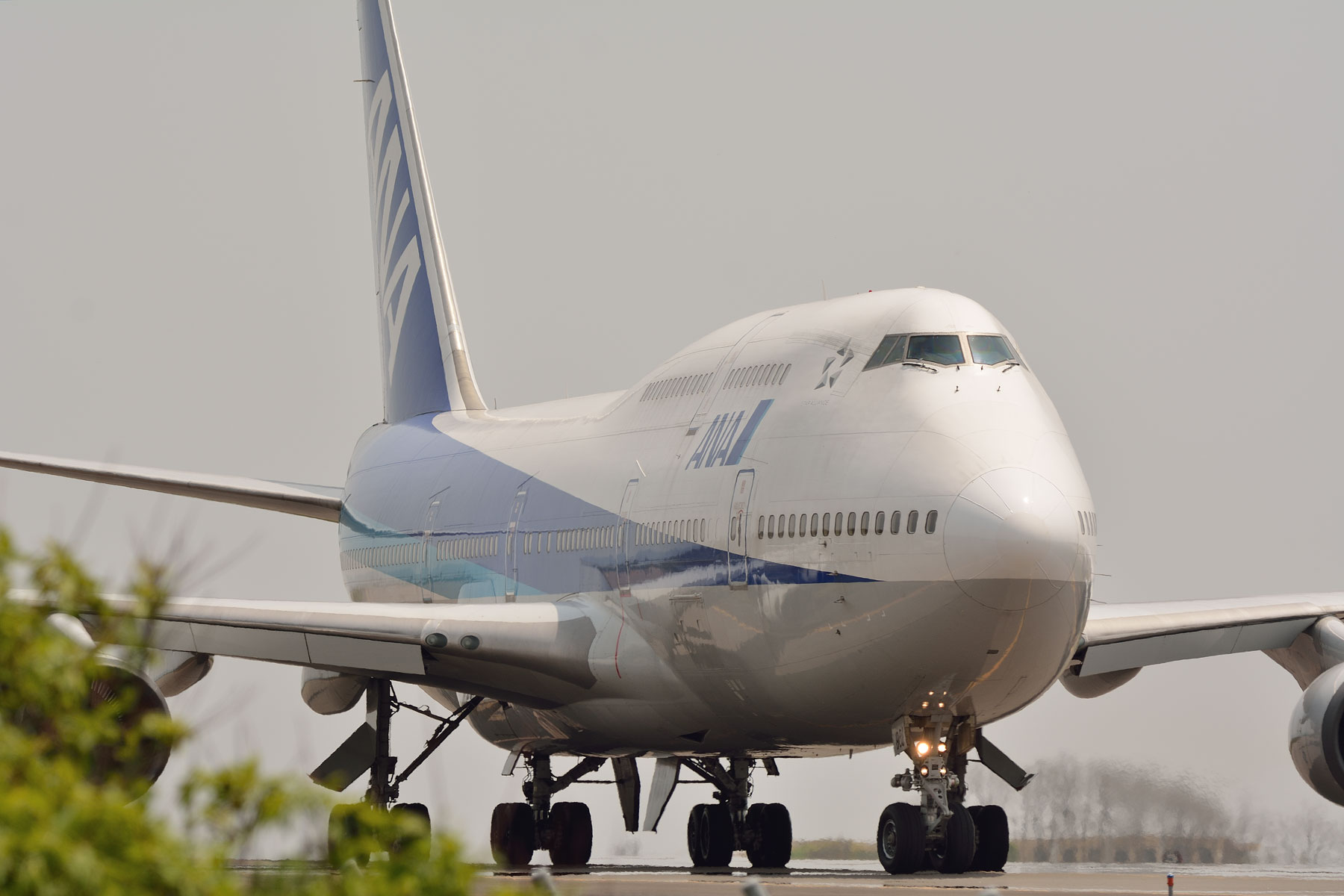 BOEING 747-400D / JA8961 : SKY LOUNGE GARDEN -transporter side- BOEING 747-400D / JA8961 : SKY LOUNGE GARDEN -transporter side-